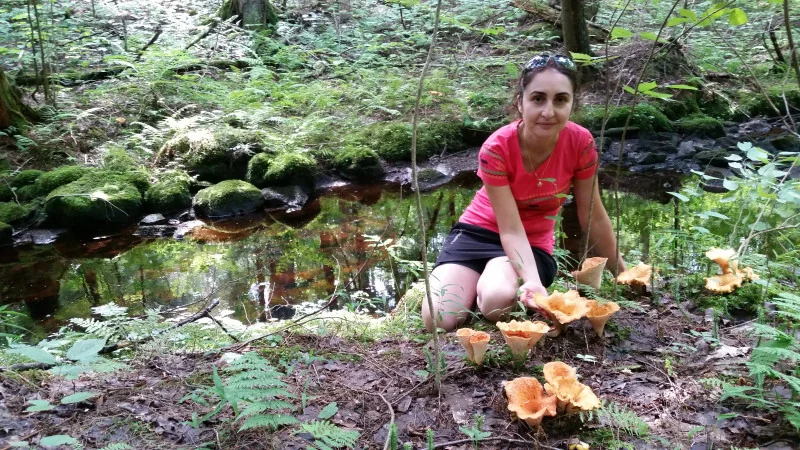 В своей стихии: там, где растут грибы