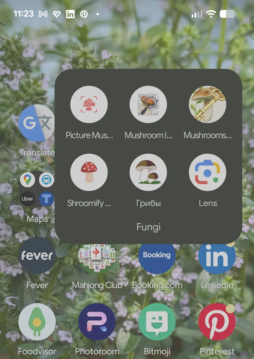 AI-приложения для идентификации грибов