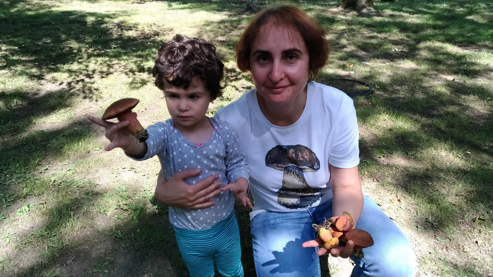 Знакомство ребенка с грибами